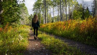 natuur, wandelen, gezondheid, mentale gezondheid
