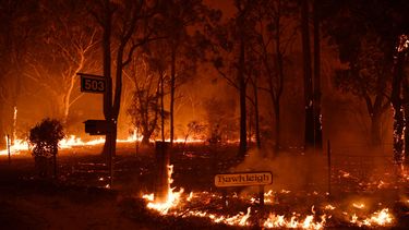 Massa-evacuatie uit badplaatsen Australië om bosbranden
