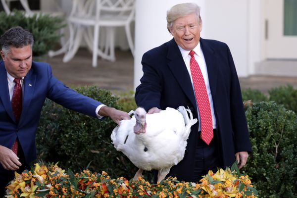Een foto van Trump met de kalkoen van vorig jaar