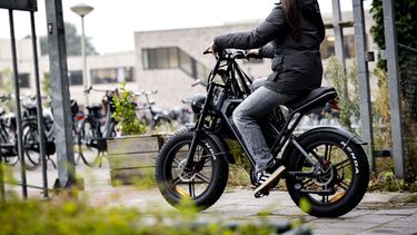 fatbikes