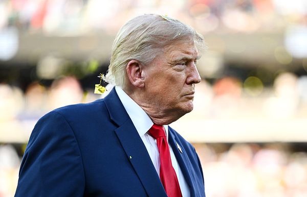 Donald Trump president