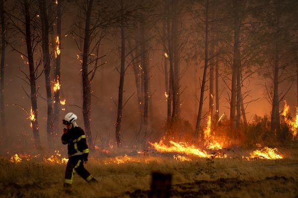 bosbrand Frankrijk Bordeaux