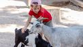 kinderboederij