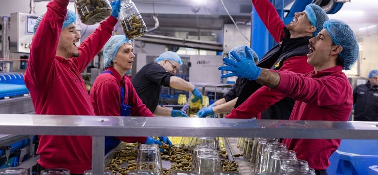 Augurk aan Zee augurken Kesbeke