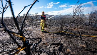 natuurbrand natuurbranden Wassenaar