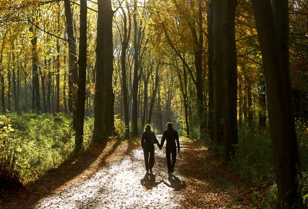 Een foto van twee wandelende mensen in het bos
