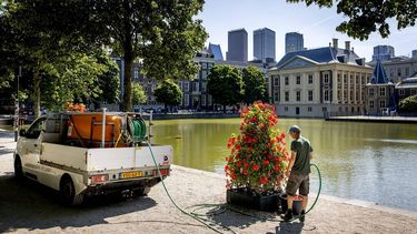 DEN HAAG - Planten krijgen water langs de hofvijver in het centrum van Den Haag. Door het warme weer geldt het Nationaal Hitteplan voor alle provincies in Nederland. KOEN VAN WEEL / ANP