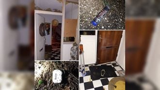 Vrouw (78) schrikt van door brievenbus gegooide cobra, ontploft in huis