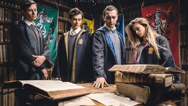 Harry Potter-Fans zetten film over Voldemort online
