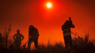 epaselect epa13142712 Firefighters battle the flames during a wildfire in Valpacos, Portugal, 30 July 2026. The fire broke out on 28 July in the municipality of Valpacos and spread to those of Mirandela and Vinhais. Additional resources and personnel have been deployed, according to the Civil Protection Agency.  EPA/PEDRO SARMENTO COSTA