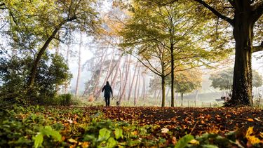 DORDRECHT - Mensen wandelen tijdens een mistige ochtend door het Wantijpark in Dordrecht. ANP JEFFREY GROENEWEG hoeveel stappen per dag