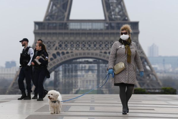 Een foto van een vrouw met hond bij de Eiffeltoren, in Parijs zijn al strenge coronamaatregelen