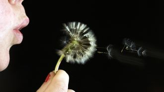 ‘Bijna niemand hoeft last te hebben van hooikoorts'