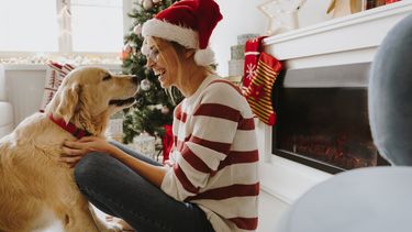 Stressvrije feestdagen voor huisdieren