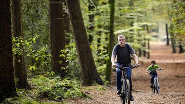 ERMELO - Dagjesmensen in het Speulderbos. Het zachte najaarsweer lokt wandelaars tijdens de herfstvakantie naar buiten. ANP SEM VAN DER WAL