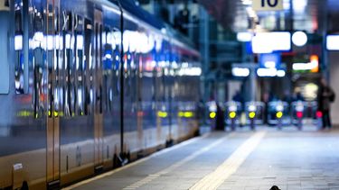 DEN HAAG - Een vogel loopt over een leeg perron op station Den Haag Centraal, tijdens een staking van NS-personeel. De spoormedewerkers leggen hun dienstregelingen in de ochtend enkele uren neer, om te staken voor een betere zwaarwerkregeling.ANP REMKO DE WAAL