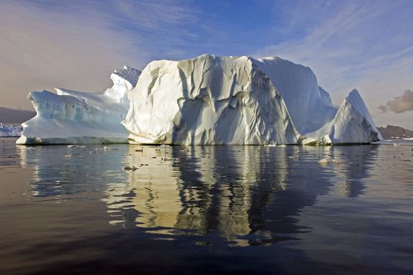 Steeds meer 'groene sneeuw' op Antarctica