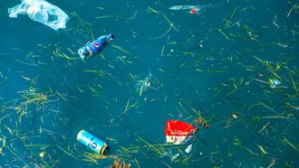 115 plastic bekertjes, vier plastic flessen, 25 plastic zakjes, twee teenslippers, een nylon tas en meer dan duizend andere stukken plastic werden er gevonden in de maag van een aangespoelde dode potvis. Foto: Colourbox