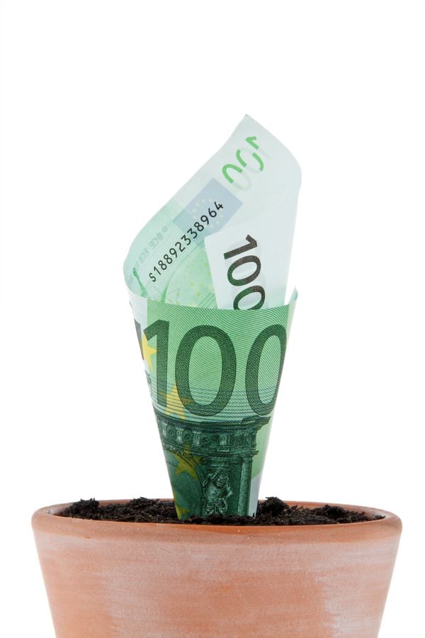 Een impressie van beleggen middels een briefje van 100 euro in een pot met aarde