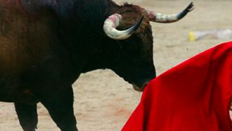Fran González (19) overleden tijdens stierenvechten