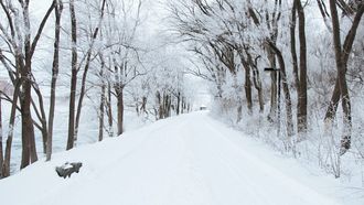 Sneeuw in Nederland dit weekend, tot 20 cm