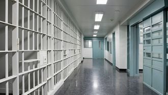 Appje kost stagiair in gevangenis mogelijk 50.000 euro