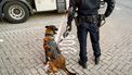 politiehond