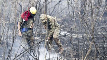 Brazilië slaat hulp G7 bij bosbranden af