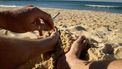 Renesse krijgt eerste rookvrije strand van Nederland