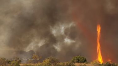Australische bosbranden zorgen voor vuurtornado's 