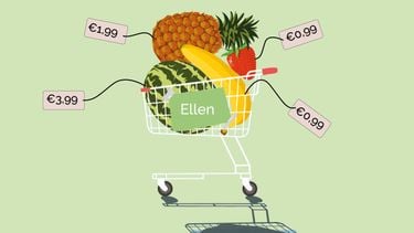 de boodschappen van Ellen