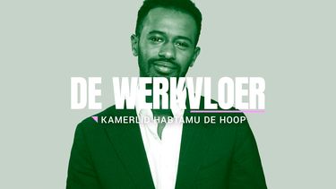 Habtamu de Hoop, Tweede Kamerlid PvdA-GroenLinks