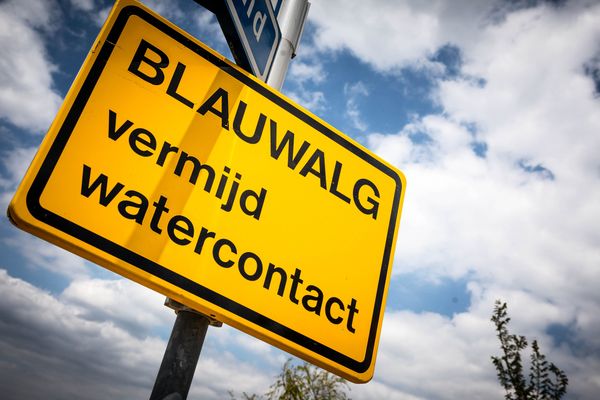 Foto van een waarschuwingsbord voor blauwalg