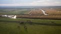 Oostvaardersplassen: al 1354 herten gedood