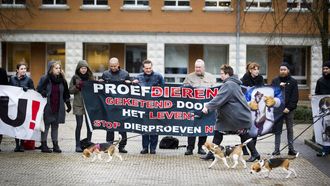 Het aantal dierproeven in Nederland stijgt