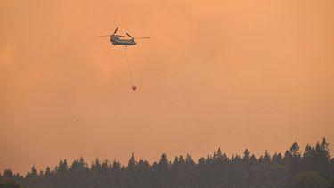 A Royal Netherlands Air Force Boeing CH-47D Chinook carrying a bambi bucket battles a wildfire burning in the Hautes Fagnes (High Fens) nature reserve, in Kuchelscheid, in the sub-municipality of Elsenborn, eastern Belgium on August 16, 2026. Hundreds of villagers were under evacuation orders in eastern Belgium as firefighters battled one of the country's worst-ever wildfires, with vast swathes of nature reserve turned to a singed wasteland. Reinforcements were pulled from across the country to fight the blaze that broke out on August 14, 2026 in the High Fens park near the German border and quickly spread, with helicopters and water bombers flying in from across the EU to help.
JOHN THYS / AFP