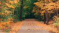 herfst