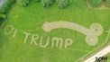 Jongen maait penis in gazon om Trump welkom te heten