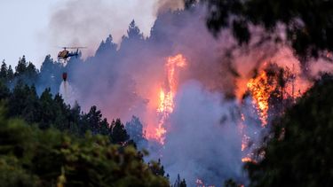 Bosbranden Spaanse Gran Canaria: 2000 evacuaties