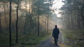 Onderzoekers zien eenzaamheid met 16,8 procent dalen: deze simpele activiteit kan helpen