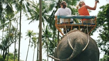 Achter 'kiekje' met olifant schuilt fors dierenleed