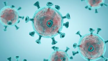 Dodental coronavirus stijgt met 48