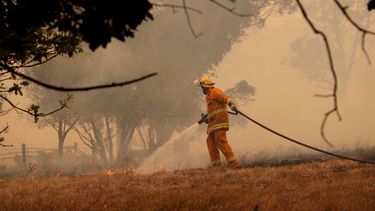 24 arrestaties in Australië wegens brandstichting