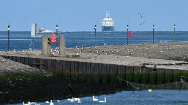 The Dutch Hantavirus-hit cruise ship MV Hondius sails off the Netherlands' coast as it approaches the port of Rotterdam on May 18, 2026. Cruise ship MV Hondius is expected to arrive at the port of Rotterdam and the ship's crew members will undergo a medical screening.
NICOLAS TUCAT / AFP