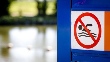 vervuild zwemwater