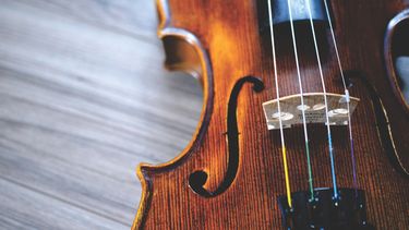Muzikant vergeet 310 jaar oude viool in de trein