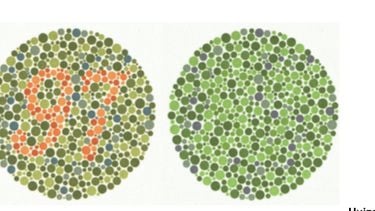 Kleurenblindheid blijkt grootste visuele handicap.  / Foto: Specsavers