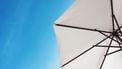 parasol