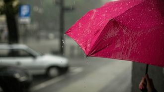 Regen, weer, lente, paraplu, buien