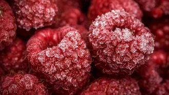 Fruit, groente, eten, gezond, bevroren